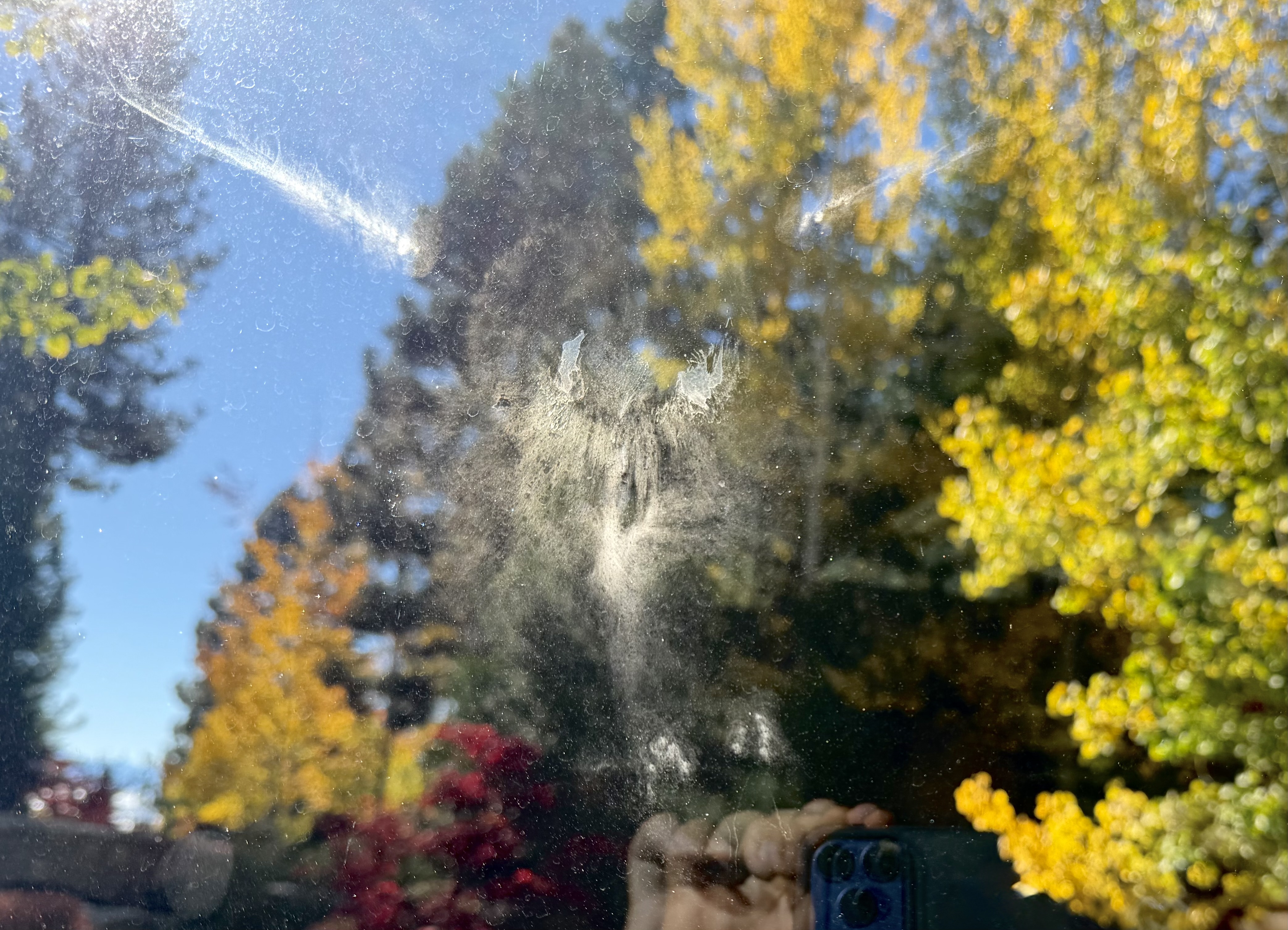 Ghost Owl